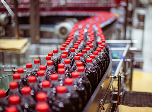 Food and Beverage Processing